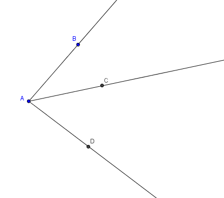 worksheet angle image