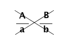 cross-multiplying