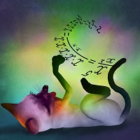 mathematical cat