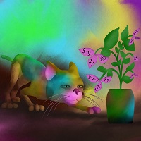 mathematical cat