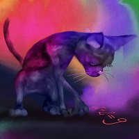 mathematical cat