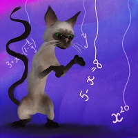 mathematical cat