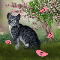 mathematical cat