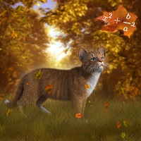 mathematical cat