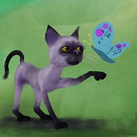 mathematical cat