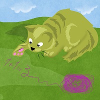 mathematical cat