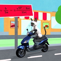 mathematical cat