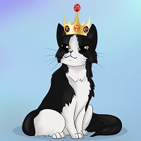 mathematical cat
