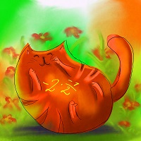 mathematical cat