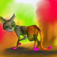 mathematical cat